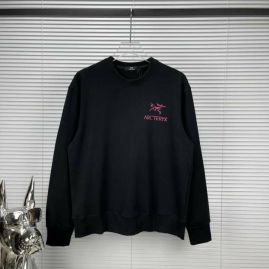 Picture of Arcteryx Sweatshirts _SKUArcteryxS-XXL17ctn1624451